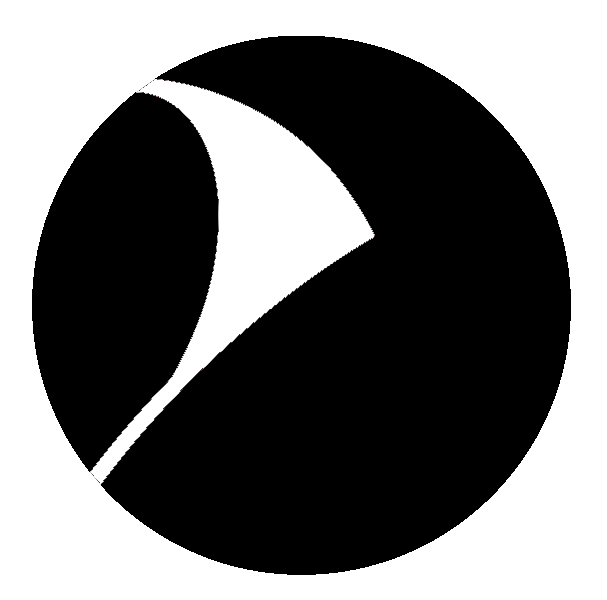 Evo Icon